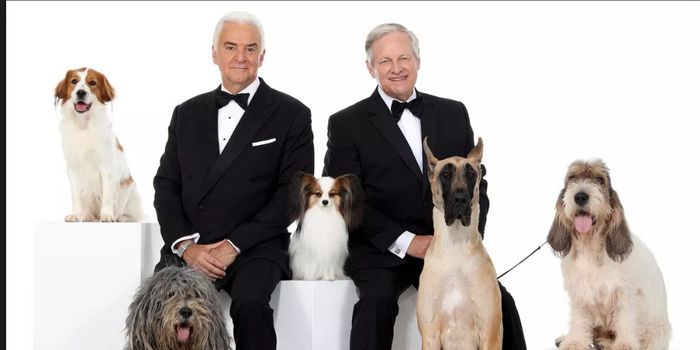 John O’Hurley, David Frei & Mary Carillo – The National Dog Show