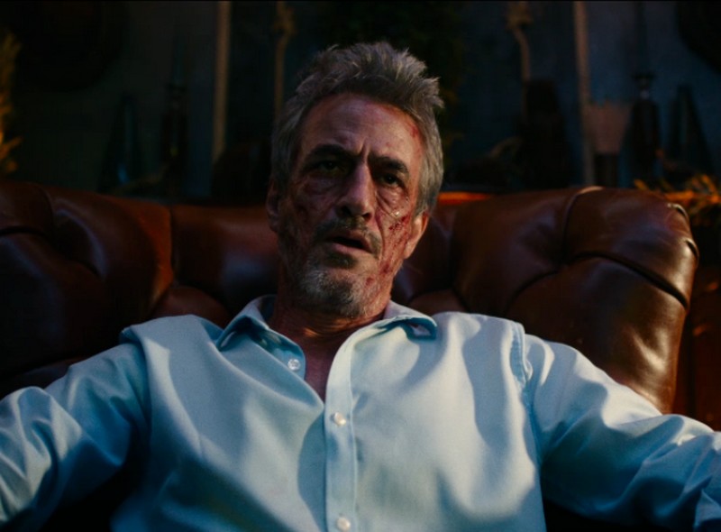 Dermot Mulroney – The Blazing World