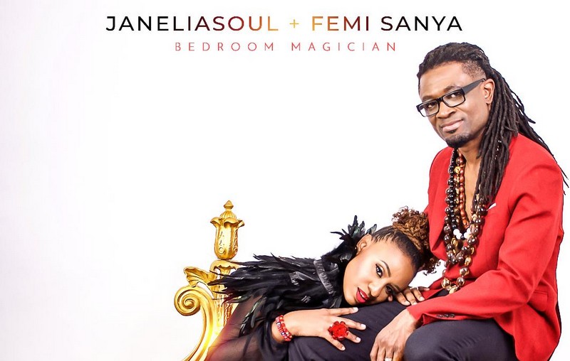 Janelia Soul – Bedroom Magician