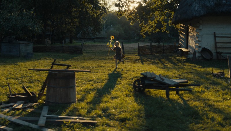 Mateusz Balcerek – Sunflower