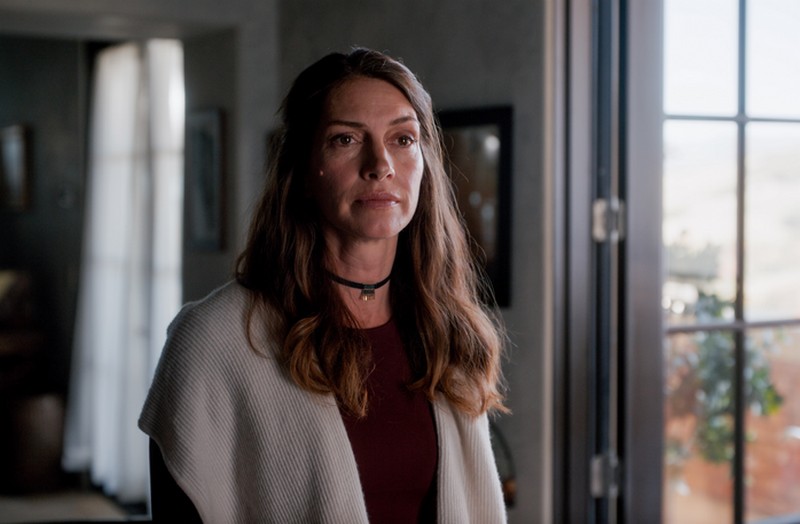 Dawn Olivieri – Homestead