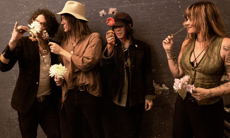 The Dandy Warhols – PIN UPS