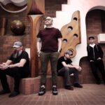 IF THESE TREES COULD TALK – The Hidden Hand